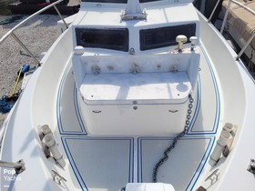 1983 Aquasport 246 Explorer