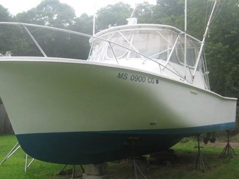 Lang 28 Sportfish