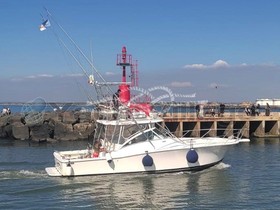 Buy 2004 Luhrs 360 Open