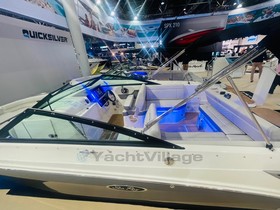 Buy 2023 Sea Ray 250 Sdo Sundeck 300 Ps 2023 Sofort Voll
