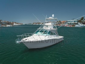 2005 Cabo Yachts Express for sale