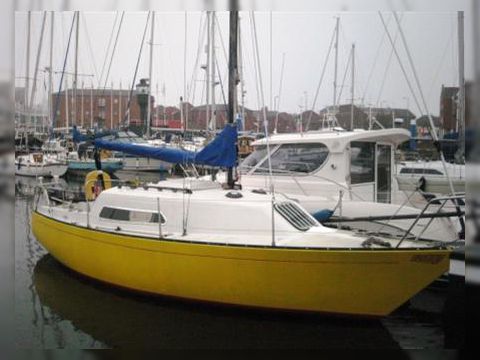 Copland Foxhound 24