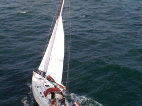 Dufour Yachts Gib'Sea 37