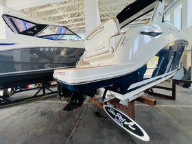 Купити 2022 Sea Ray 265 Sundancer 350Ps Ew Juni 2022 1.Besitz