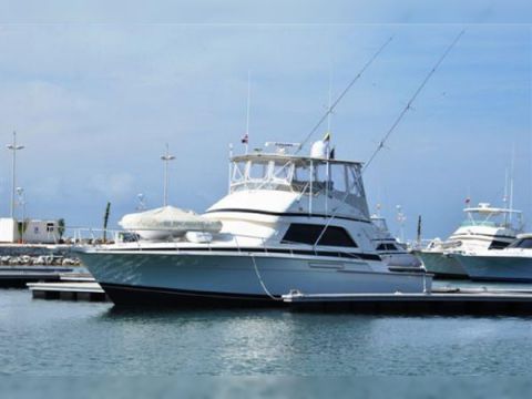 Bertram Convertible Sports Fisherman