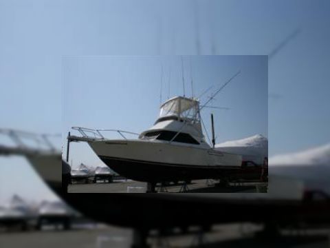 Bertram 28