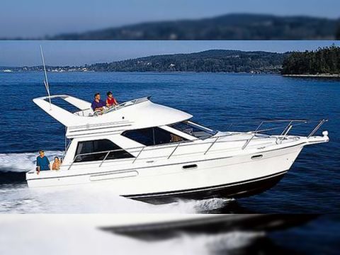 Bayliner 3788 Command Bridge My