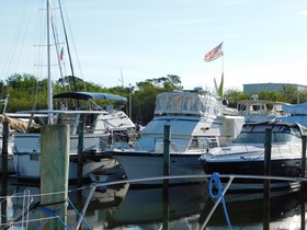 Buy 1985 Hatteras 43 Aft Cabin M/Y