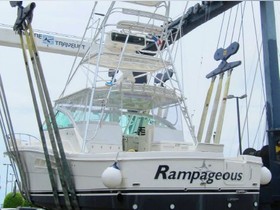 Buy 2010 Rampage 41 Express