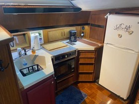 Buy 1988 Sea Ray 415 Aft Cabin