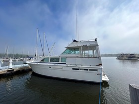 1979 Bertram 42 Flybridge Motor Yacht til salg