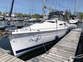 Hunter 33