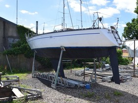 1980 Aphrodite 101 à vendre