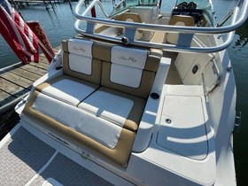 2011 Sea Ray 260 Sundeck in vendita