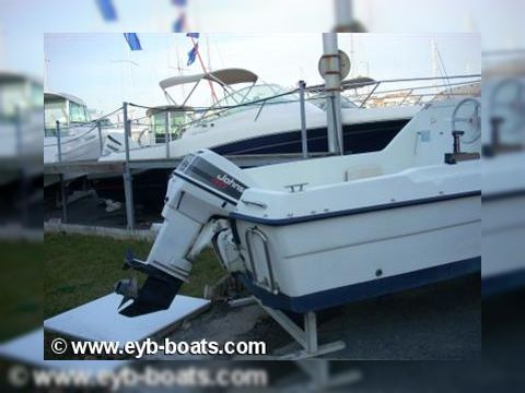 1993 OMC Ritz 435 for sale