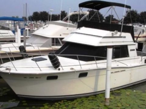 Carver 3207 Aft Cabin