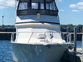 1989 Viking 35 Convertible for sale