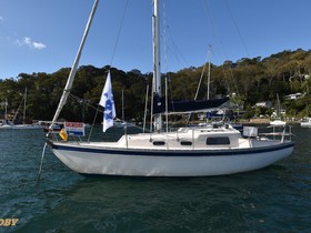 Buy 1980 Compass 29