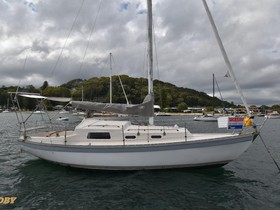 Buy 1981 Compass 29