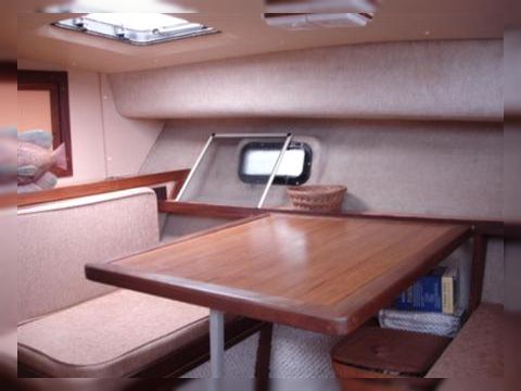 Acheter 1984 Silverton 34 C