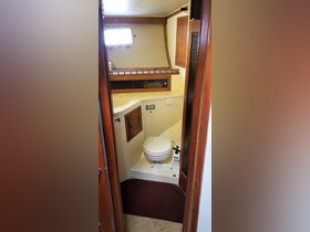 1974 Meridian Pilothouse kaufen