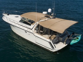 1988 Californian Veneti for sale