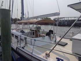 Buy 1980 Wellington 44