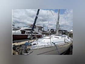 Osta 2000 Hunter 460