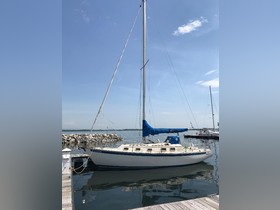 Koupit 1977 Endeavour 32 Sloop
