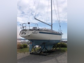 1977 Endeavour 32 Sloop te koop