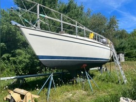 Buy 1983 Pearson 303 Sloop