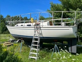 1983 Pearson 303 Sloop for sale