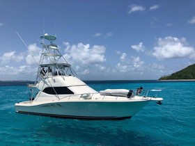 2006 Rampage 45 Convertible for sale