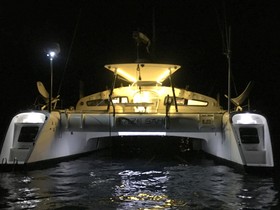 Купить 2005 Catamaran Ts 50