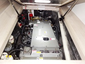 Buy 2019 Leopard 43 Powercat