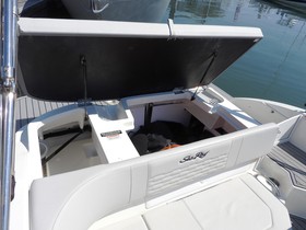 2021 Sea Ray 190 Spx Ob for sale