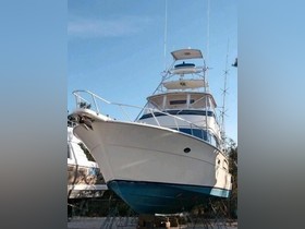 1991 Donzi 54 for sale