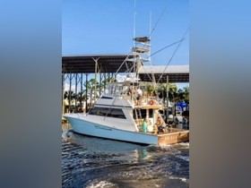 1990 Viking Convertible for sale