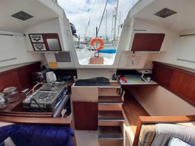 Buy 1979 Pegasus 800