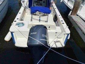 Buy 2017 Sea Born Lx24 W 100 Hrs And Trailer
