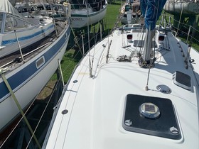 1985 C&C 35 Mk Iii for sale