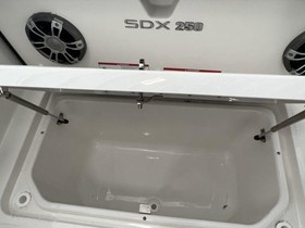Buy 2023 Sea Ray Sundeck 250 Outboard
