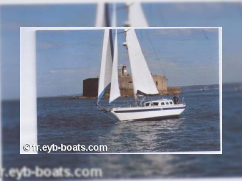 Tyler Endurance 37