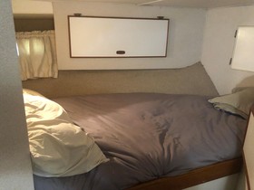1981 Bertram 42 Convertible for sale