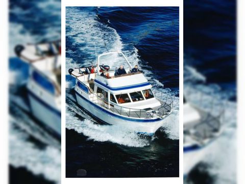 1986 Trader 41