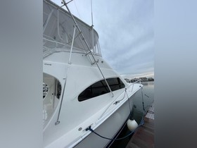 2005 Luhrs 41 Convertible for sale