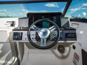 2018 Sea Ray Sdx 250 til salg