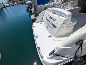 Kjøpe 2006 Sea Ray 290 Sundancer