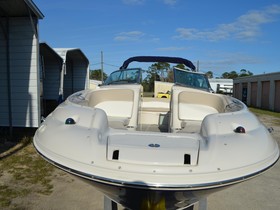 2005 Sea Ray 240 Sundeck til salg