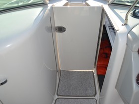 Købe 2005 Sea Ray 240 Sundeck